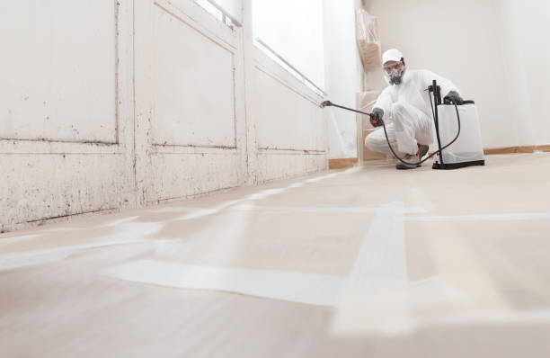 24/7 Emergency Mold Testing experts in Sparta, IL